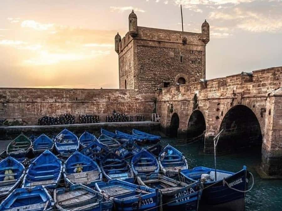 From Agadir or Taghazout : Essaouira Day Trip - The harbor, market, and fresh seafood