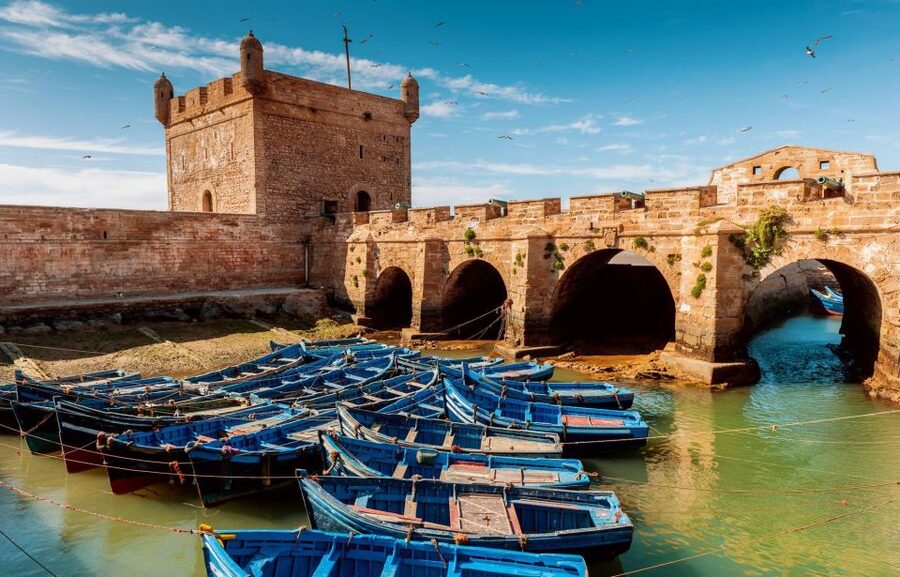 From Agadir or Taghazout: Essaouira Day Trip with Transfer - Key points to know before booking