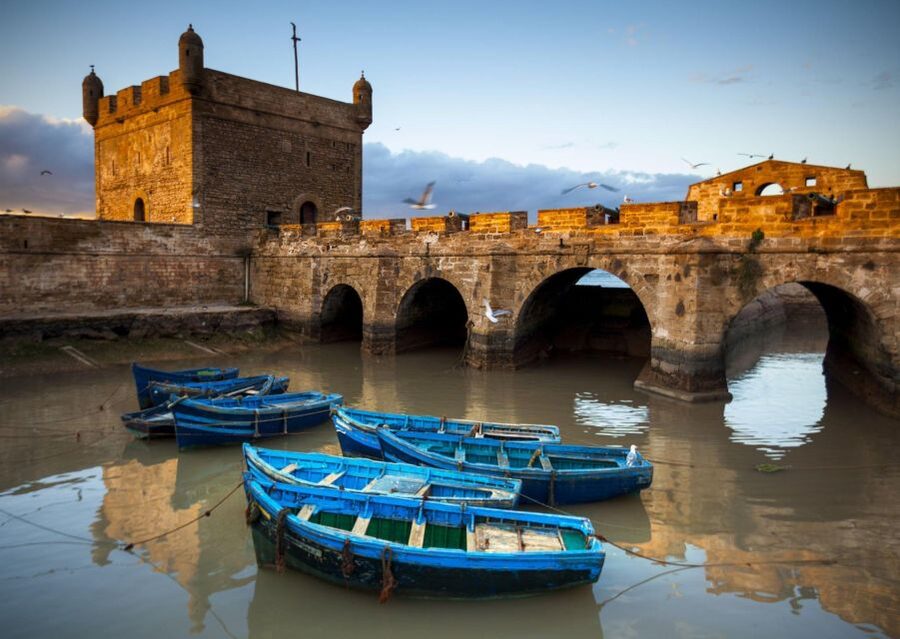 From Agadir or Taghazout: Essaouira Day Trip with Transfer - Who should book this day trip?