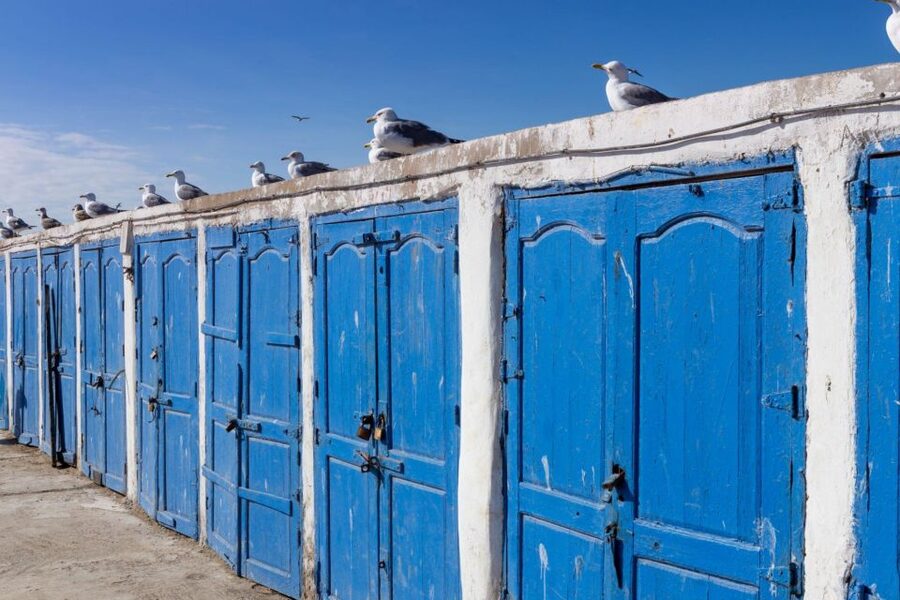 From Agadir or Taghazout: Essaouira Day Trip with Transfer - Marquetry, cabinetmaking, and the argan oil cooperative