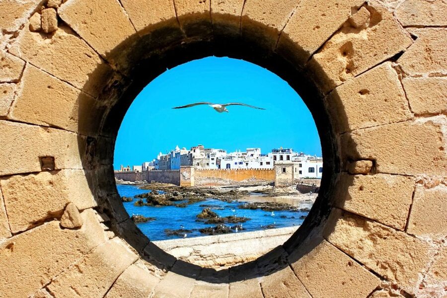 From Agadir or Taghazout: Essaouira Day Trip with Transfer - Free time for lunch, alleys, and the ten-kilometer beach