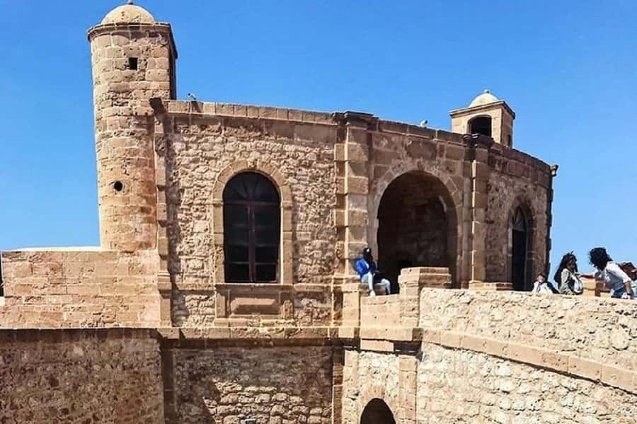 From Agadir or Taghazout : Essaouira Day Trip - The argan trees and their unusual visitors