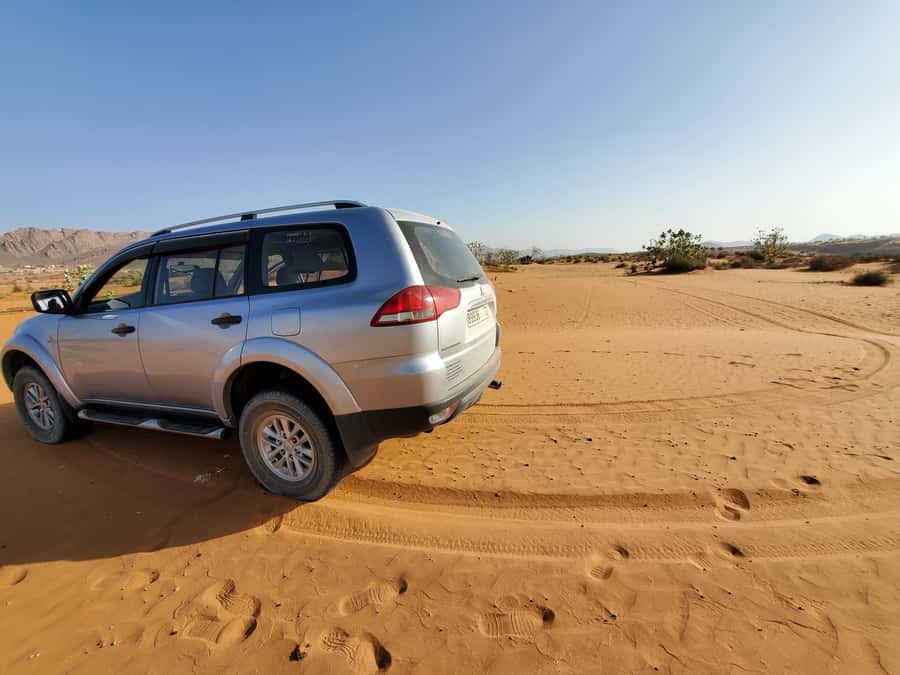From Agadir: Sahara Desert Day Trip and Camel Ride - The Massa Valley, tea, and village life