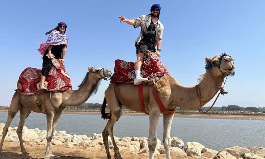 From Agadir: Souss River Camel Ride - Riding Through Eucalyptus Trees and Open Country