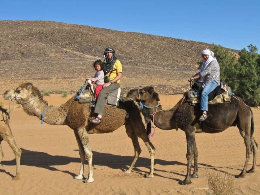 From Agadir: Souss River Camel Ride - The Sunset Light and Ocean Views
