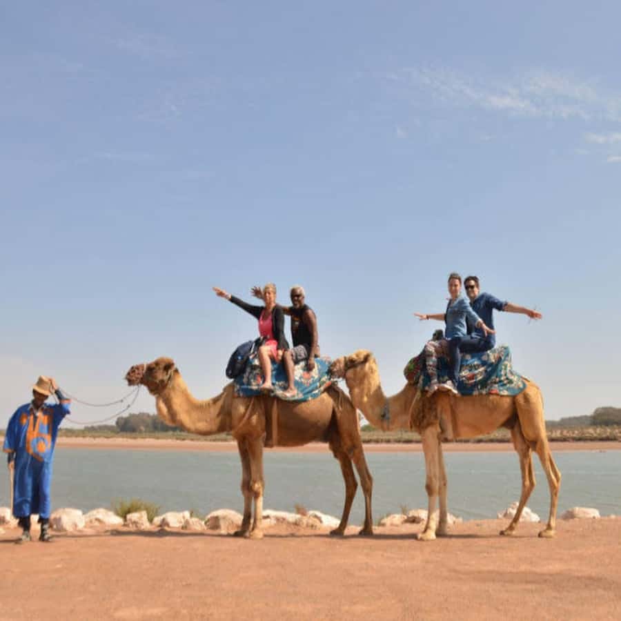 From Agadir: Souss River Camel Ride - What the $24 Price Really Buys You