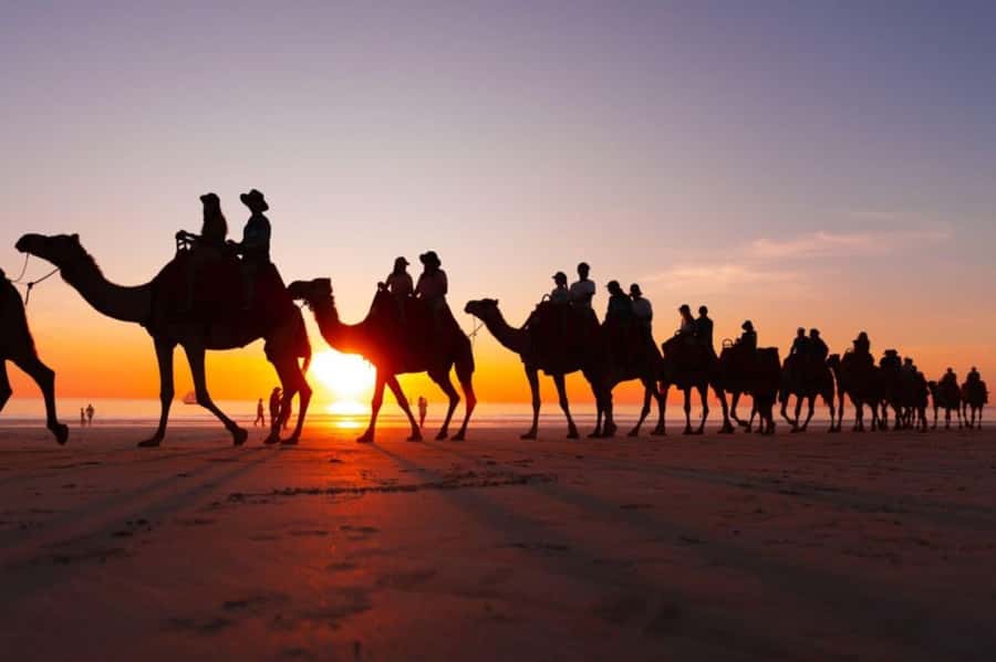 From Agadir: Souss River Camel Ride - Guide Service and Language Choices