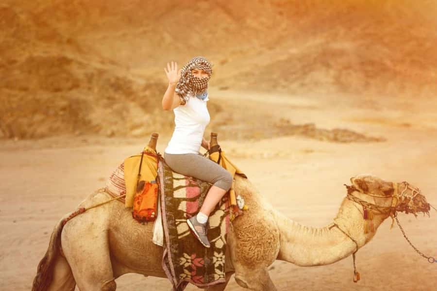From Agadir: Souss River Camel Ride - Meeting Your Camel at the Stables