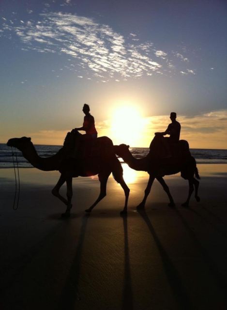 From Agadir/Taghazout: Buggy Safari Adventure & Moroccan Tea - Should you book the Agadir buggy adventure?