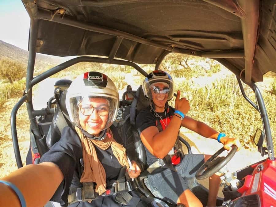 From Agadir/Taghazout: Buggy Safari Adventure & Moroccan Tea - Looking for goats in argan trees