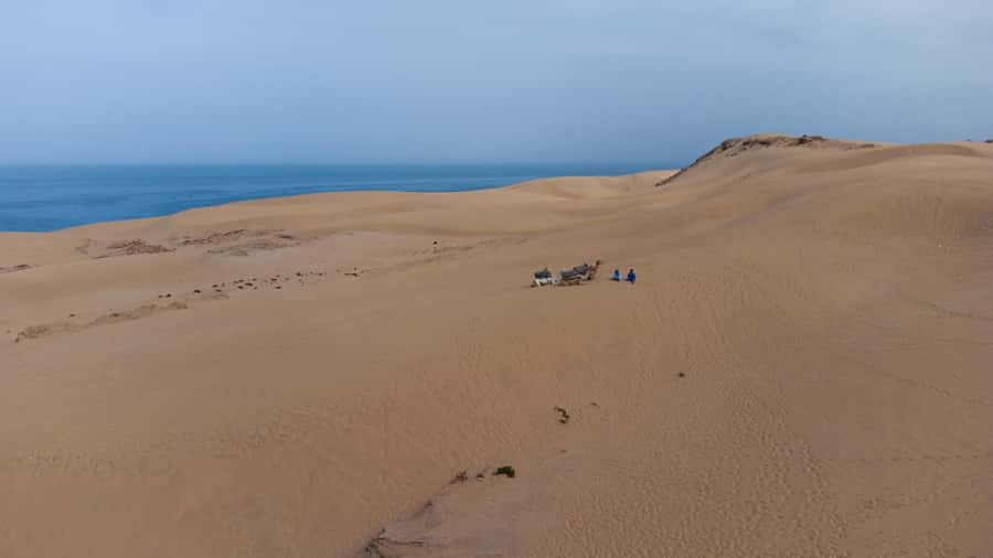 From Agadir/Taghazout: Sahara Sand Dunes with Transfer - A small Sahara feeling near Agadir