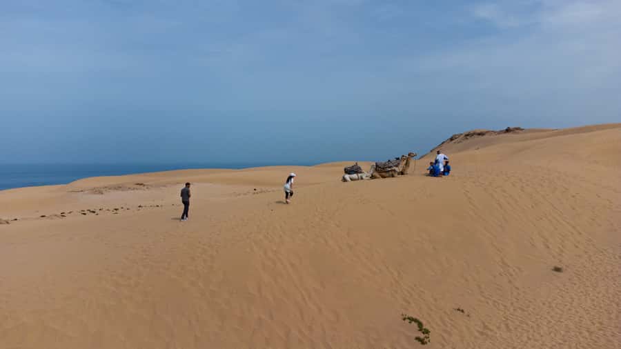 From Agadir/Taghazout: Sahara Sand Dunes with Transfer - Reaching the Timalin dunes