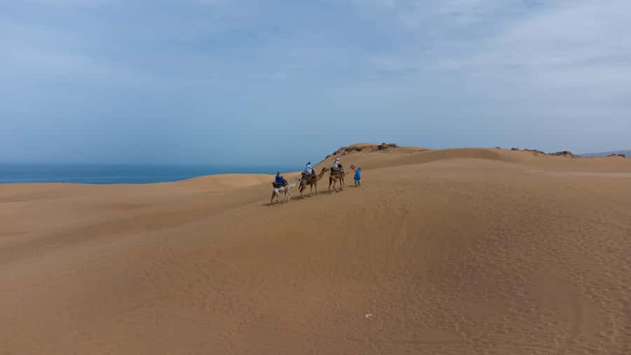 From Agadir/Taghazout: Sahara Sand Dunes with Transfer - Who should book this coastal desert trip?