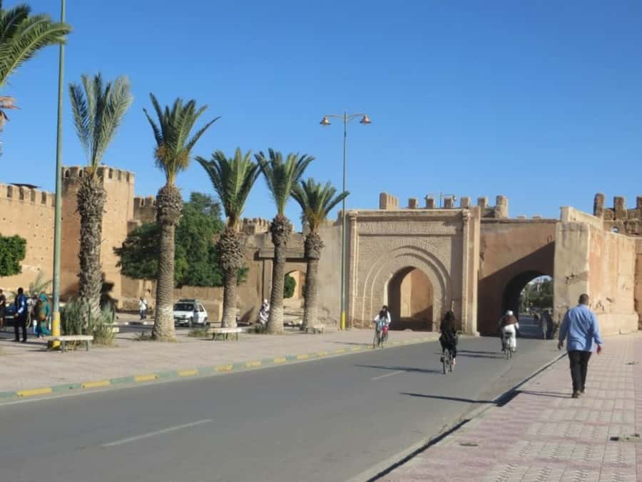 From Agadir: Taroudant & Tiout guided excursion - The tree-climbing goats photo stop
