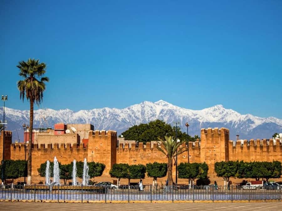 From Agadir: Taroudant & Tiout guided excursion - The optional donkey ride and film kasbah