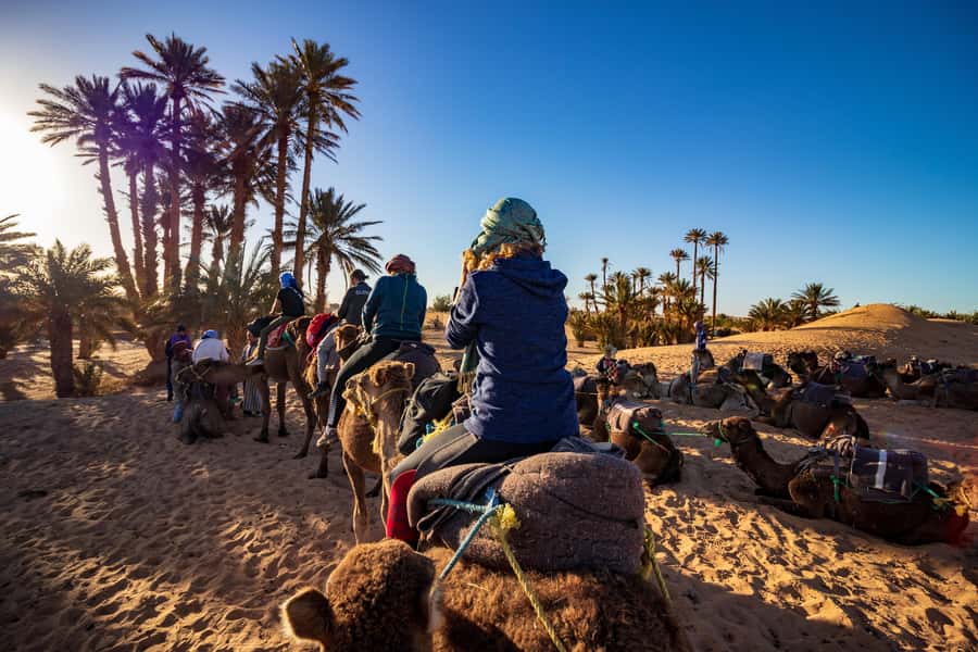 From Casablanca: Day Trip to Marrakech with Camel Ride - Mellah and Bahia Palace