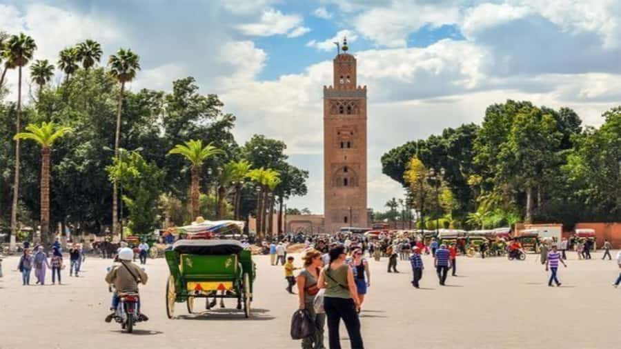 From Casablanca: Day Trip to Marrakech with Camel Ride - The Secret Garden and the pace of the old city