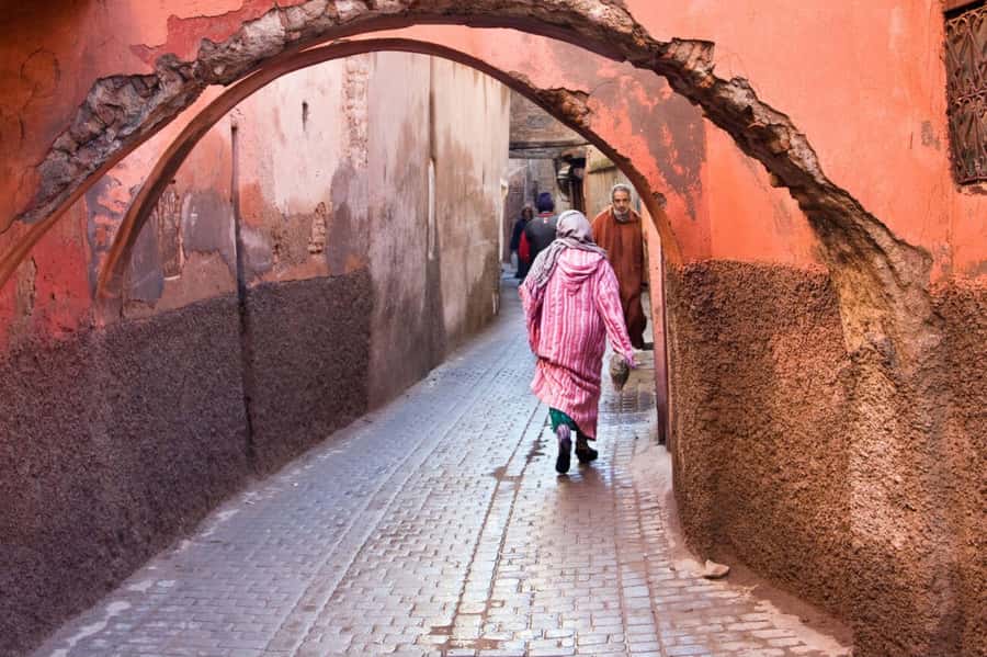 From Casablanca: Day Trip to Marrakech with Camel Ride - Who will enjoy this day trip most