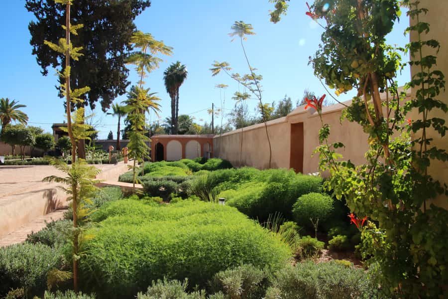 From Casablanca: Marrakech Guided Day Trip with Camel Ride - What the $114 price really covers
