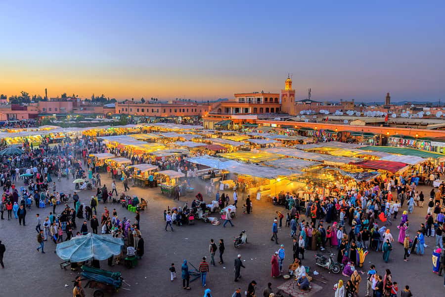 From Casablanca: Marrakech Guided Day Trip with Camel Ride - Menara Gardens and the Atlas Mountain view