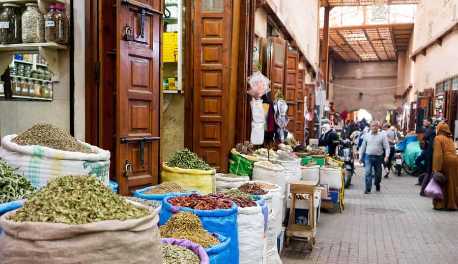 From Casablanca: Marrakech Guided Day Trip with Camel Ride - A short camel ride in the Palmeraie