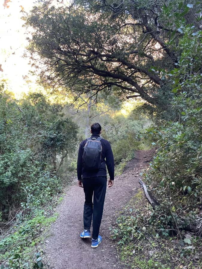 From Chefchaouen: Full-Day Trip to Akchour Waterfalls - What to bring for a better day