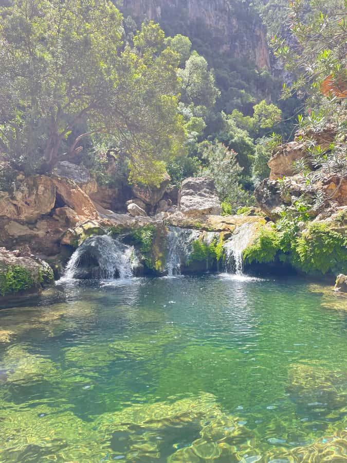 From Chefchaouen: Full-Day Trip to Akchour Waterfalls - God’s Bridge and the park’s dramatic scenery