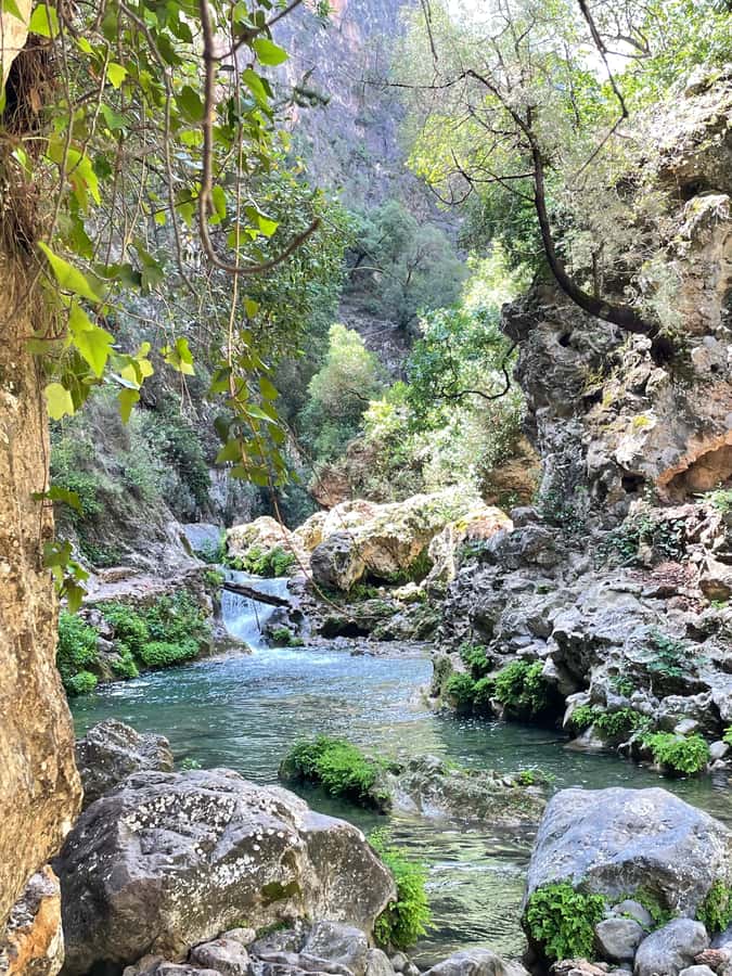 From Chefchaouen: Full-Day Trip to Akchour Waterfalls - Why the private guide matters