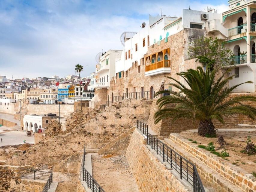 From Costa del Sol: Discover Tangier on a Guided Day Trip - Bazaar, Berber pharmacy, or three hours of free time