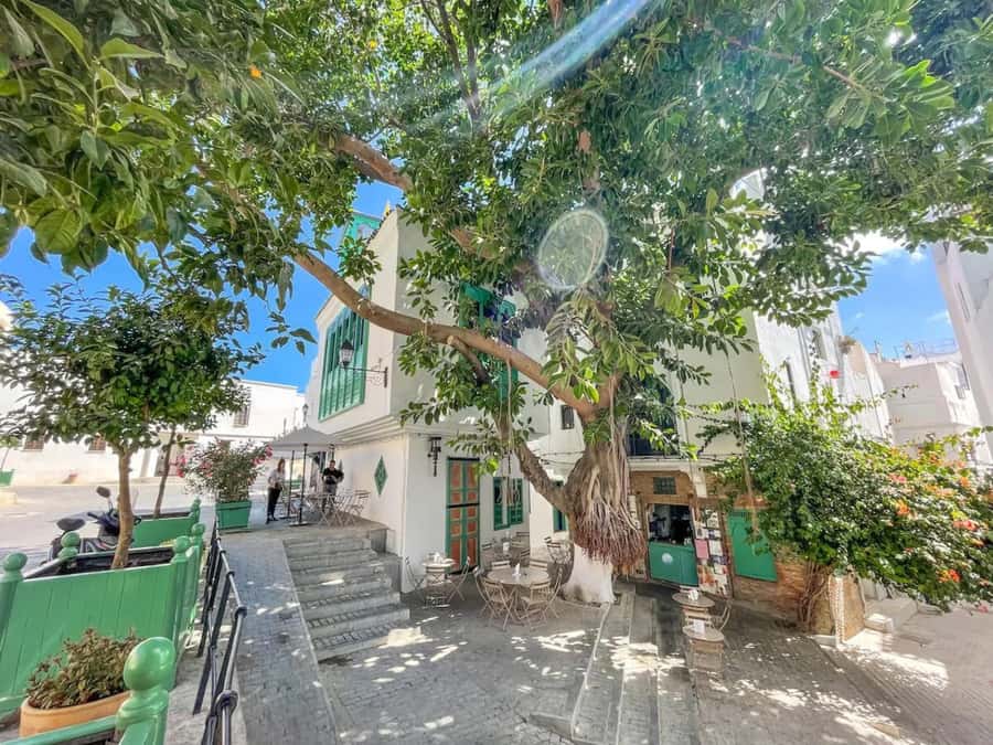 From Costa del Sol: Discover Tangier on a Guided Day Trip - How good is the $212 value?