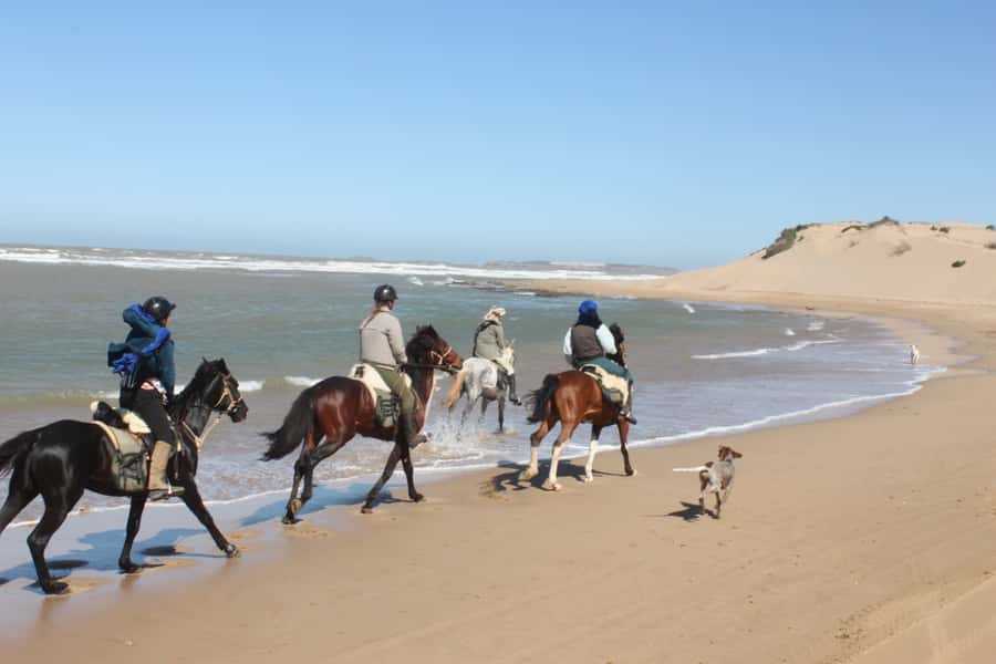 From Essaouira: 1-Hour Horse Ride - Key points before you book
