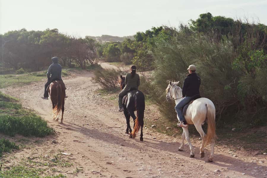 From Essaouira: 1-Hour Horse Ride - Why this ride fits Essaouira so well