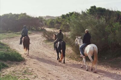 1-Hour Horse Ride