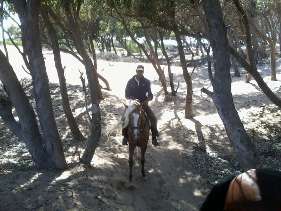 From Essaouira: 1-Hour Horse Ride with sunset - Reaching Essaouira’s wide beach