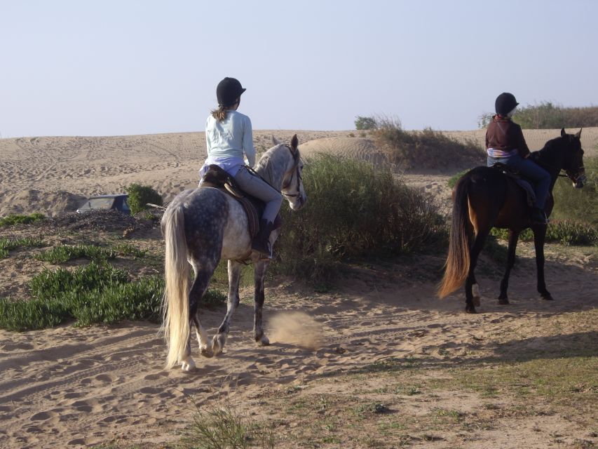 From Essaouira: 1-Hour Horse Ride with sunset - Sunset over the Atlantic