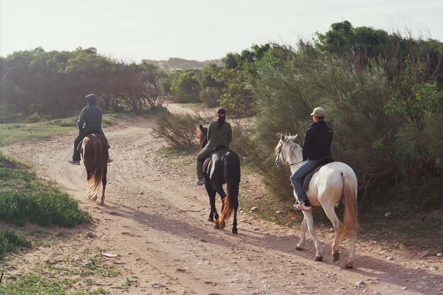 From Essaouira: 1-Hour Horse Ride - Starting at Ranch de Diabat