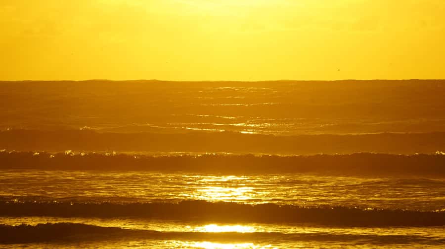 From Essaouira: 2h Horseback Ride with Sunset - Riding from Diabat toward the Atlantic