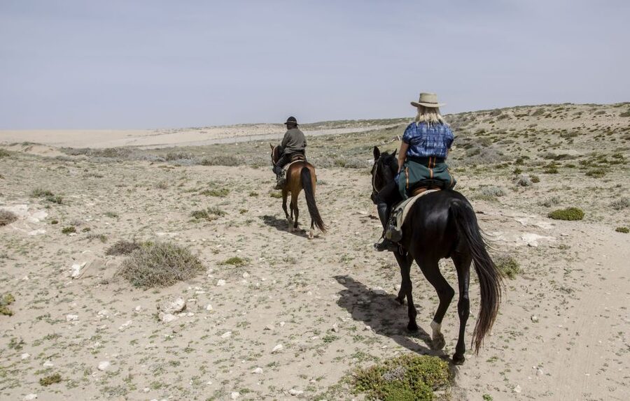 From Essaouira: 2h Horseback Ride with Sunset - Is $73 a fair price?