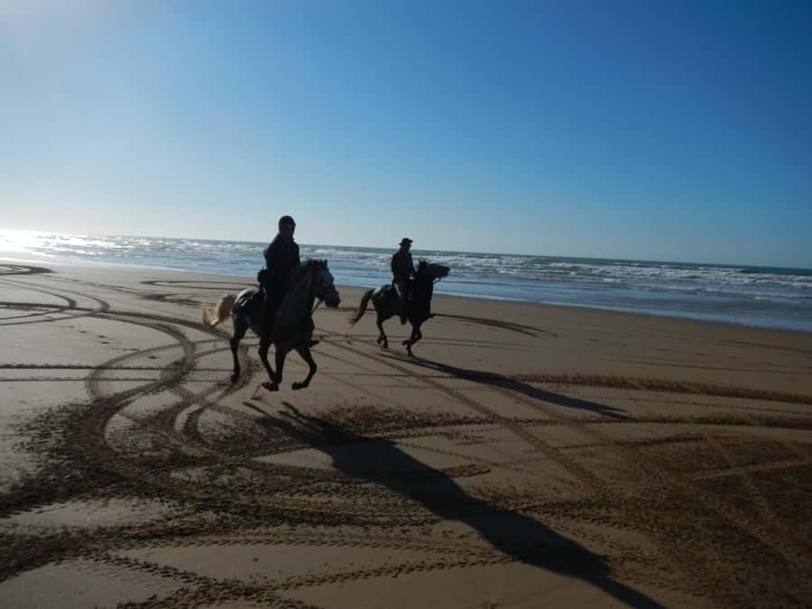 From Essaouira: 2h Horseback Ride with Sunset - What beginners can expect before departure