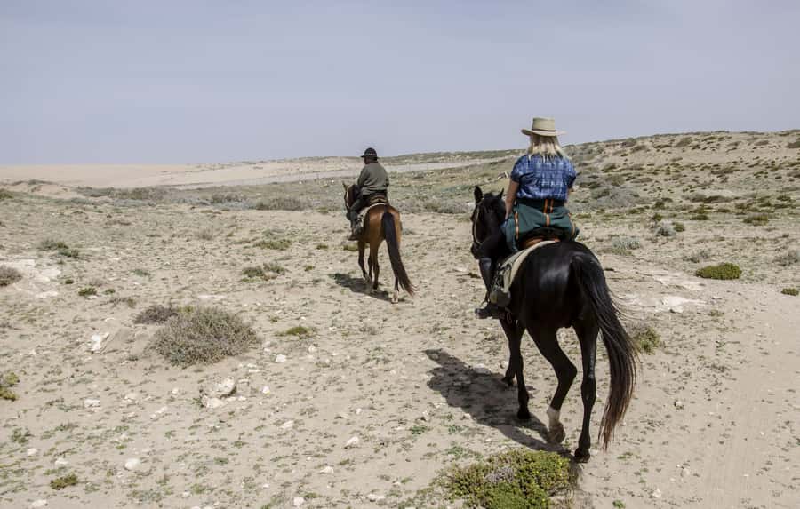 From Essaouira: Scenic Diabat Horseback Ride with Transfer - The First Hour: Diabat’s Broad, Quiet Beach