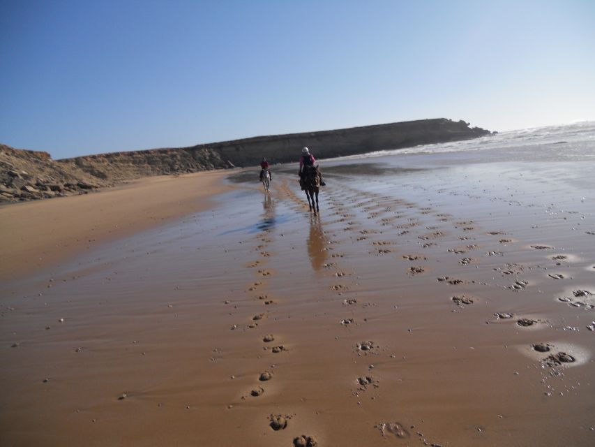 From Essaouira: Scenic Diabat Horseback Ride with Transfer - Who Should Book This Diabat Ride?
