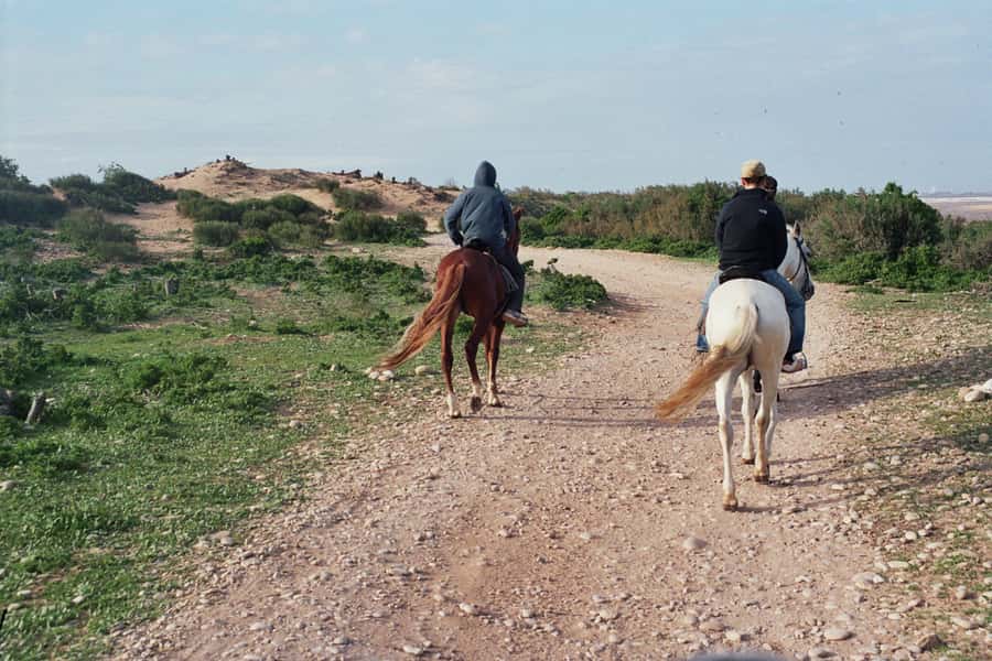 From Essaouira: Scenic Diabat Horseback Ride with Transfer - Should You Book It?