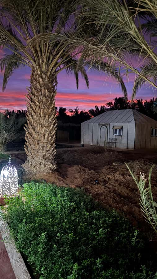 From Fes: 2-Day Desert Tour with Return to Fes or Marrakech - Leaving Fes at 7:45 AM for the Middle Atlas