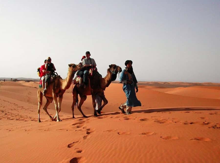 From Fes: 2-Day Luxury Desert Tour to Marrakech & Back Fez - A Luxury Tent, Dinner, Music, and Stars