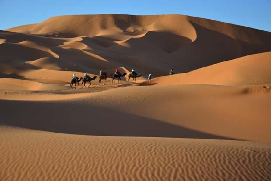 From Fes: 2-Day Luxury Desert Tour to Marrakech & Back Fez - Sunrise, Breakfast, and the Return Ride
