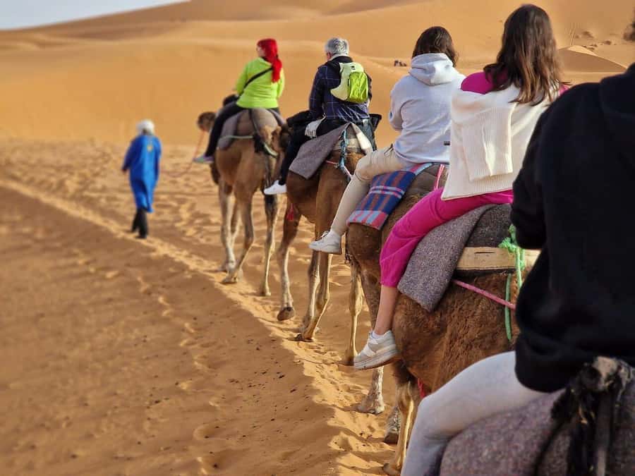 From Fes: 2-Day Luxury Desert Tour to Marrakech & Back Fez - What the $112 Price Really Covers