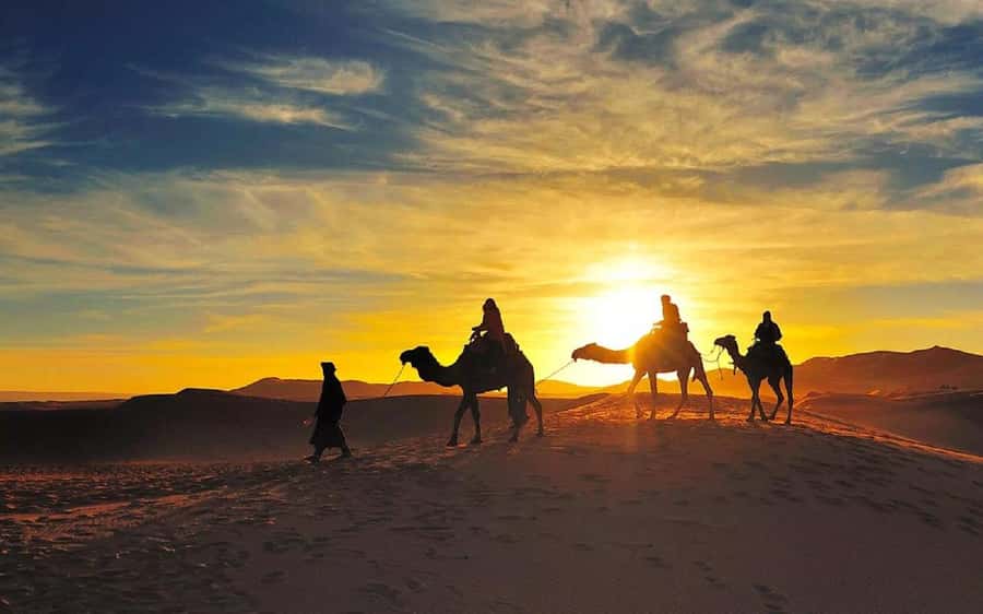From Fes: 2-Day Luxury Desert Tour to Marrakech & Back Fez - Who Will Enjoy This Tour Most
