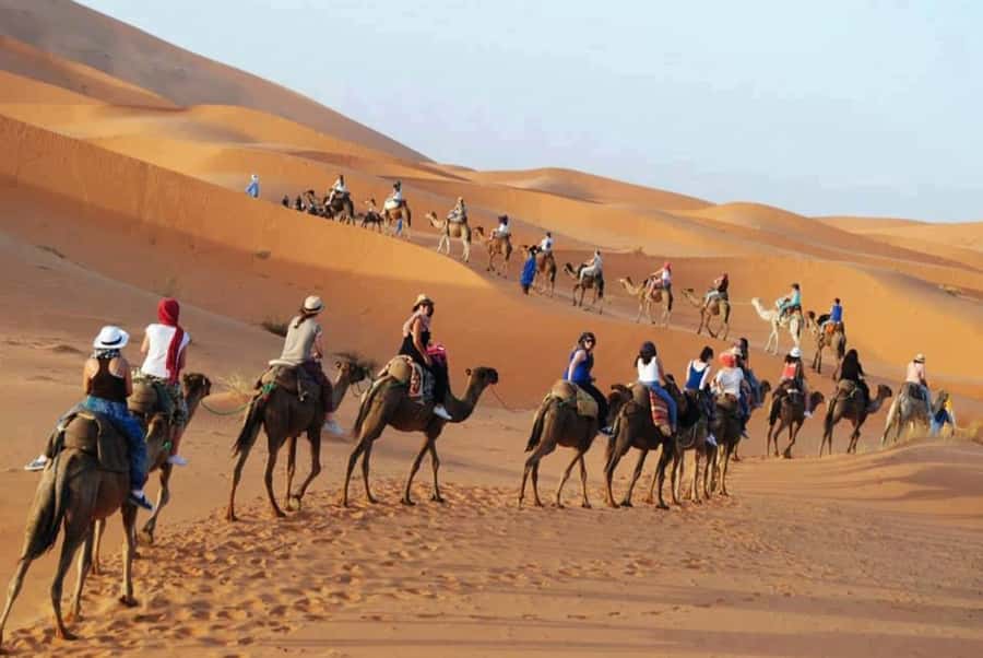 From Fes: 2-Day Luxury Desert Tour to Marrakech & Back Fez - FAQ