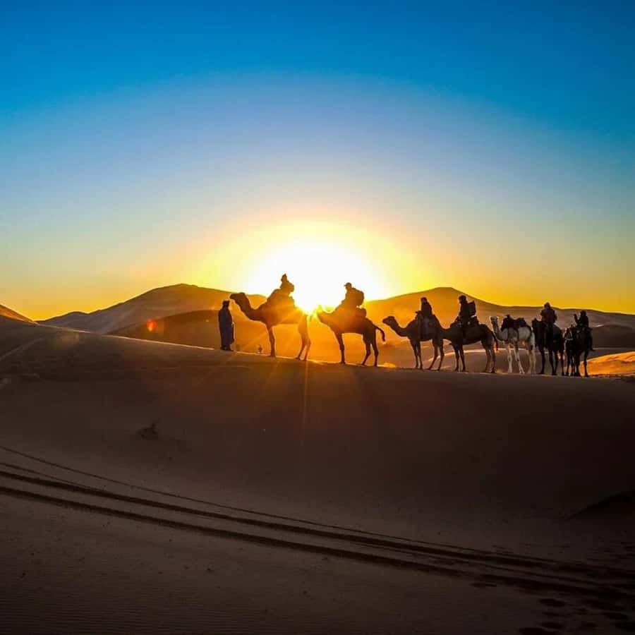 From Fes: 2-Day Luxury Desert Tour to Marrakech & Back Fez - Arriving at the Erg Chebbi Dunes