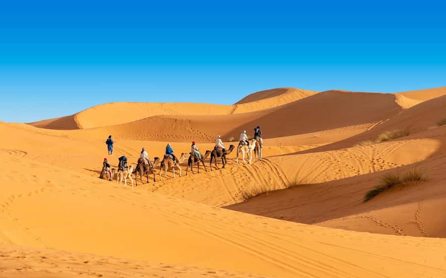 From Fes: 2-Day Merzouga Desert Trip(Luxury Tent & Dinner) - The real shape of this Fes to Merzouga trip